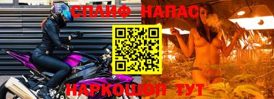 индика Тара