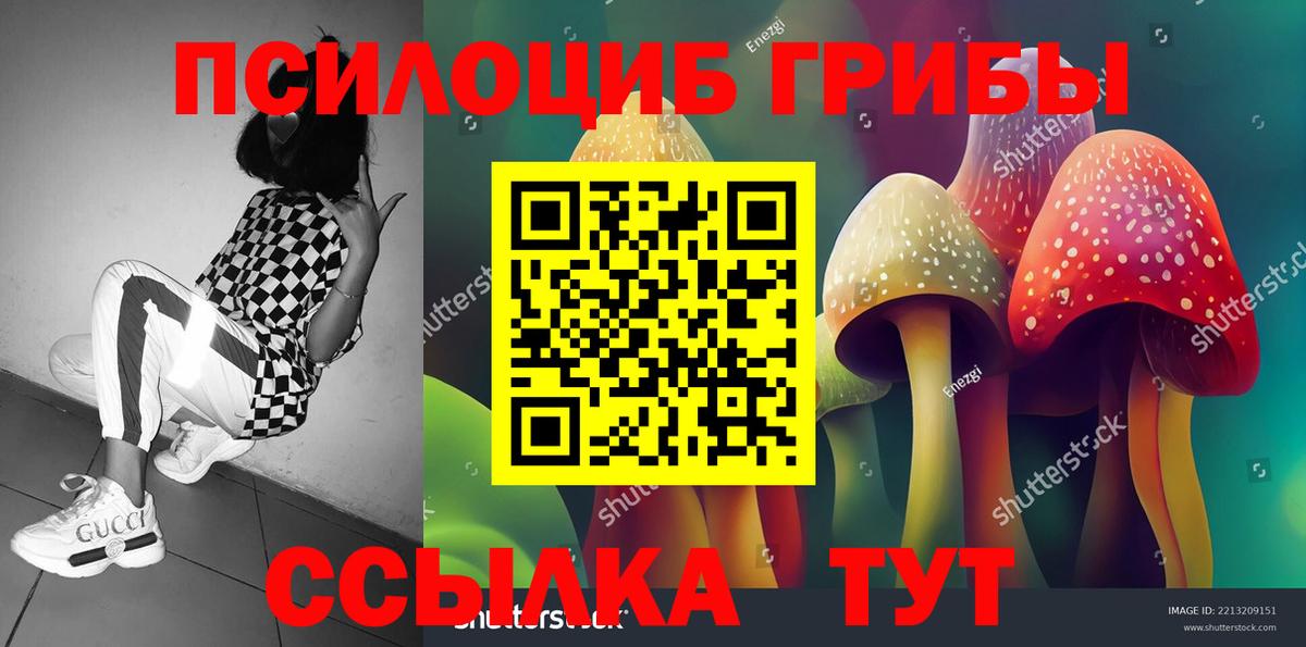 Псилоцибиновые грибы мухоморы Алексеевка