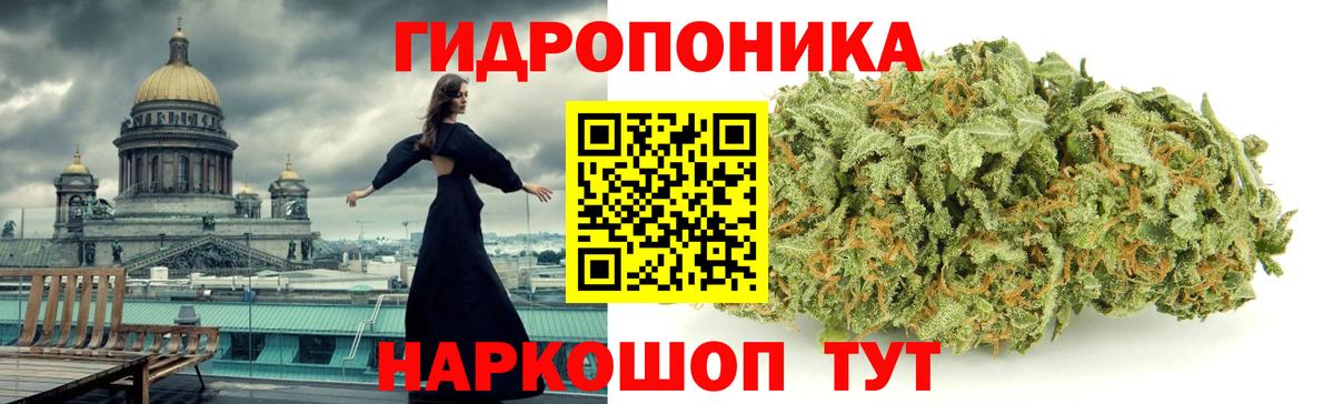 Бошки Шишки марихуана Алексеевка